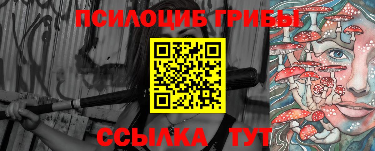магазин продажи наркотиков  Вход с VPN  Серов  Галлюциногенные грибы ЛСД  Галлюциногенные грибы Magic Shrooms 