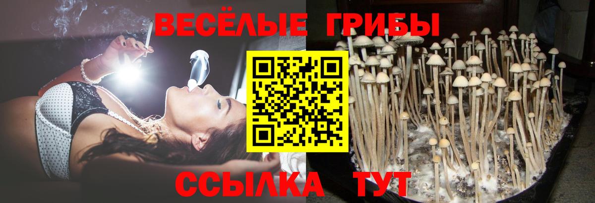 Псилоцибиновые грибы MAGIC MUSHROOMS Серов